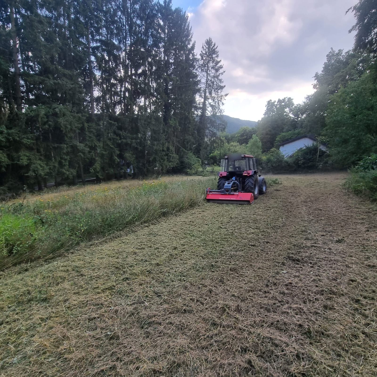Traktor mit rotem Mulcher mäht eine Wiese am Waldrand