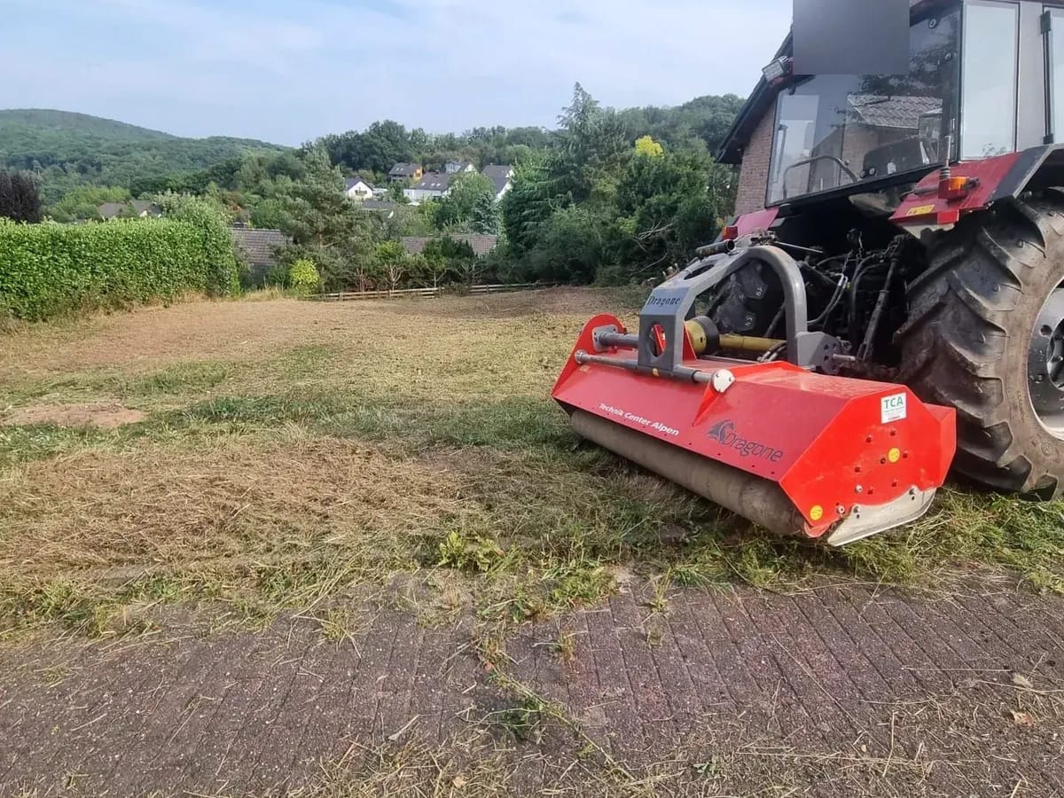 Dasselbe Baugrundstück nach dem Mulchen