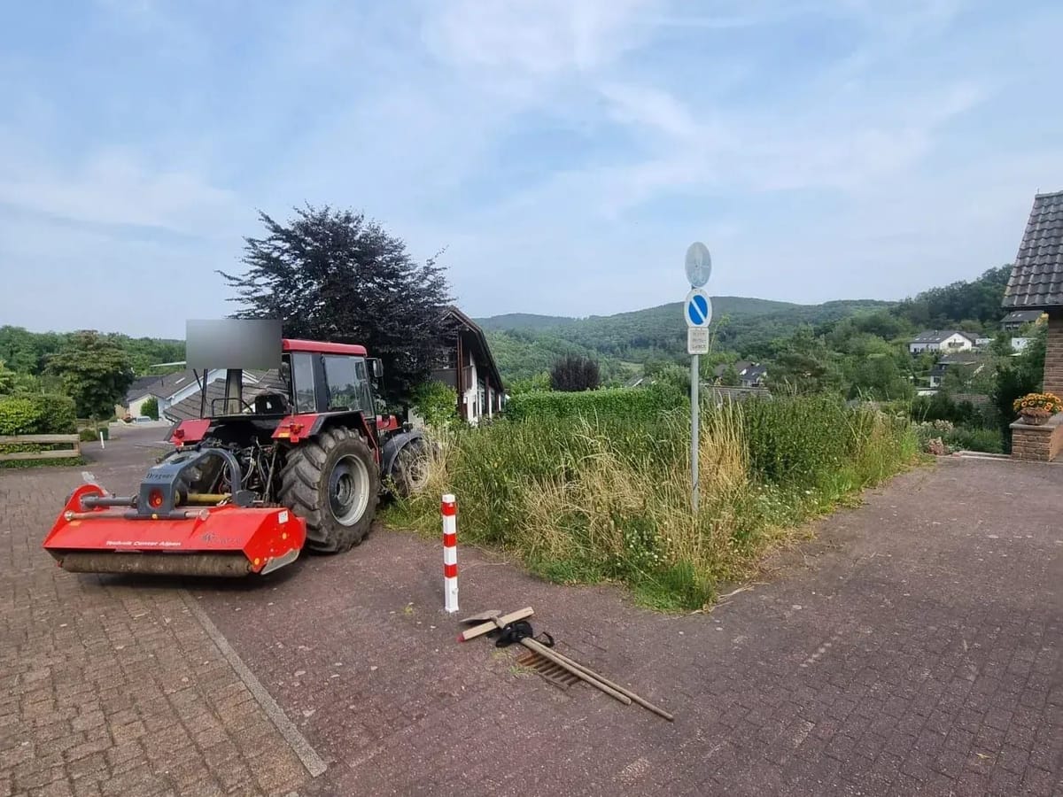 Zugewachsenes Baugrundstück vor dem Mulchen