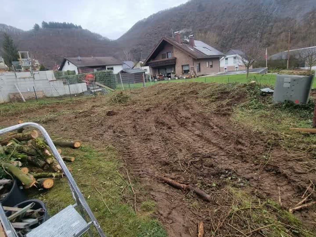 Dieselbe Fläche nach der Rodung